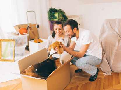 Man and woman petting a dog sitting in a cardboard box