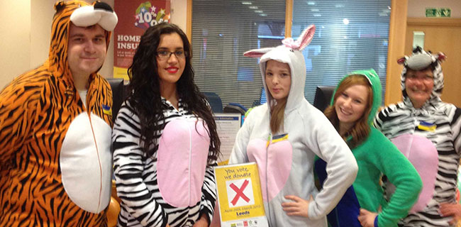 Photo of the Nottingham branch team dressed as various animals