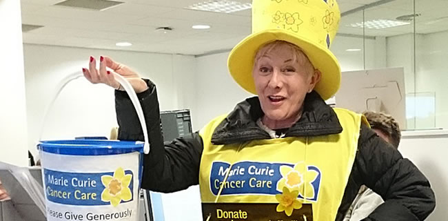 Marie Curie Daffodil Appeal